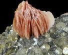 Cerussite, Pink Bladed Barite & Galena - Morocco #60769-1